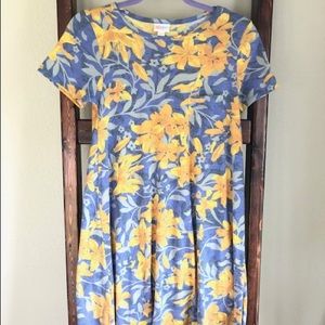 LuLaRoe Carly Dress